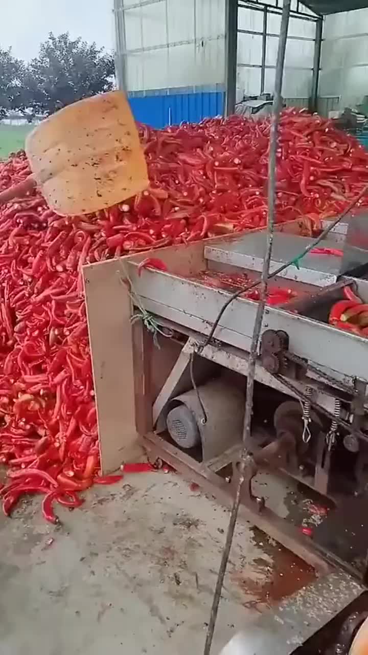 辣椒酱制作第一道工序,小小加工厂,一年利润几十万__财经头条