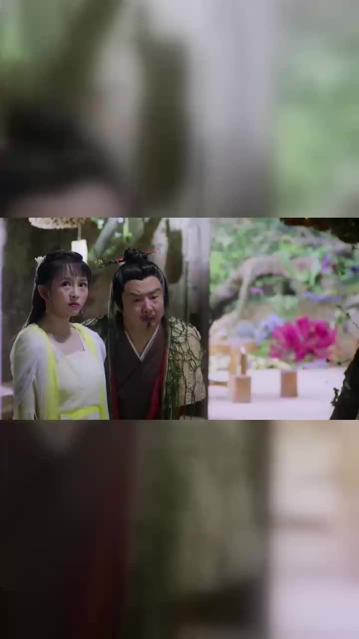 香蜜长芳主追问锦觅下落老胡和连翘撒谎这默契绝了