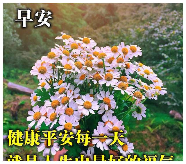 早上问候亲爱朋友们的特漂亮祝福图片,正能量早安问候句子