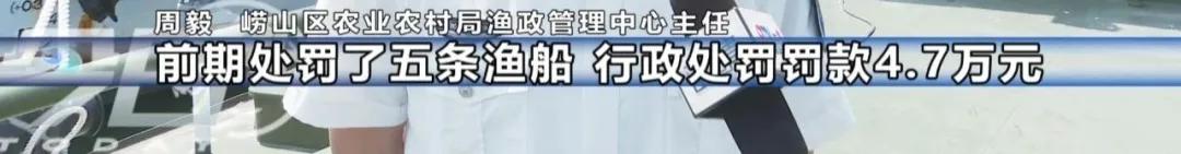 休渔期在青岛还能海钓?官方回应了