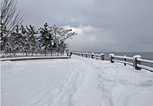 北京人看威海,今年入冬降温后第一场雪|威海|大雪|暴雪_新浪新闻