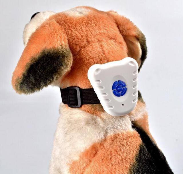 止吠器是怎么抑制狗狗吠叫的?它真的有效吗?是否会存在着风险