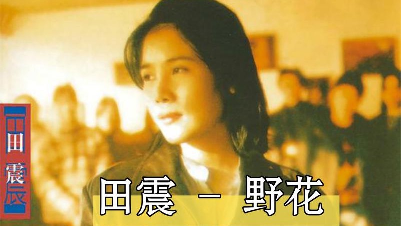 田震《野花》火了 25 年，不愧是歌坛一姐，实力唱将名不虚传