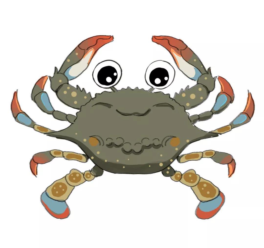 中国捕捞量第一的甲壳类水产,竟是被晒干做成虾皮的毛虾!