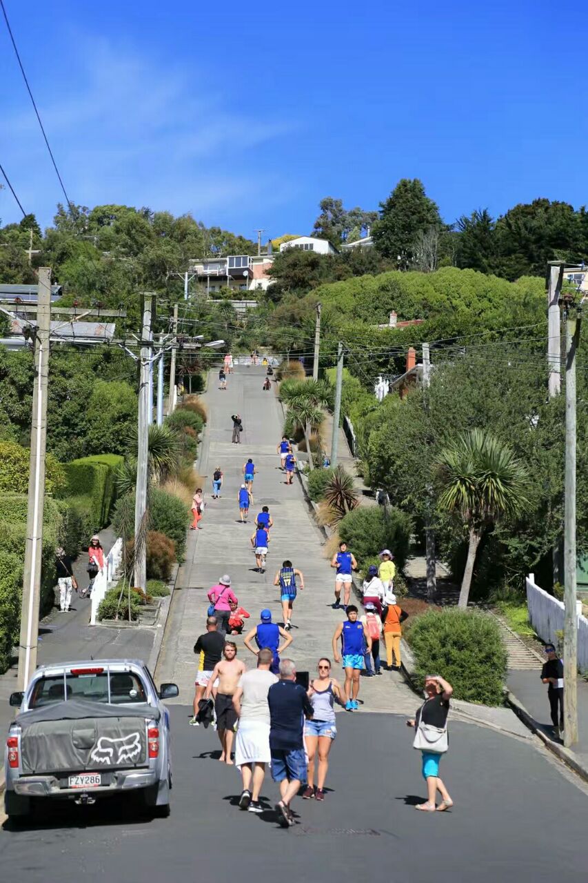 新西兰 但尼丁 鲍德温大街 世界上最陡峭的有人居住的街道