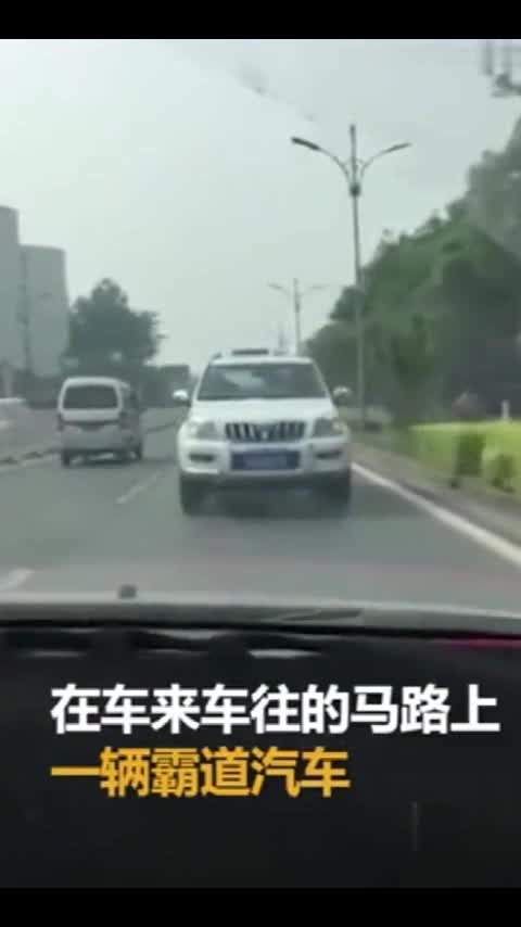 霸道司机倒车前行，引路人惊呼：这算逆向吗？