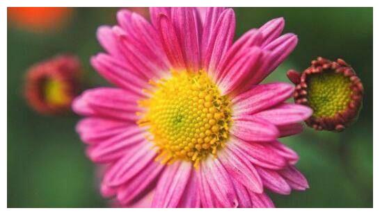 7月12日 7月31日财运到 姻缘到 添丁添喜 三喜临门的三大星座 三喜临门 财运 姻缘 新浪新闻