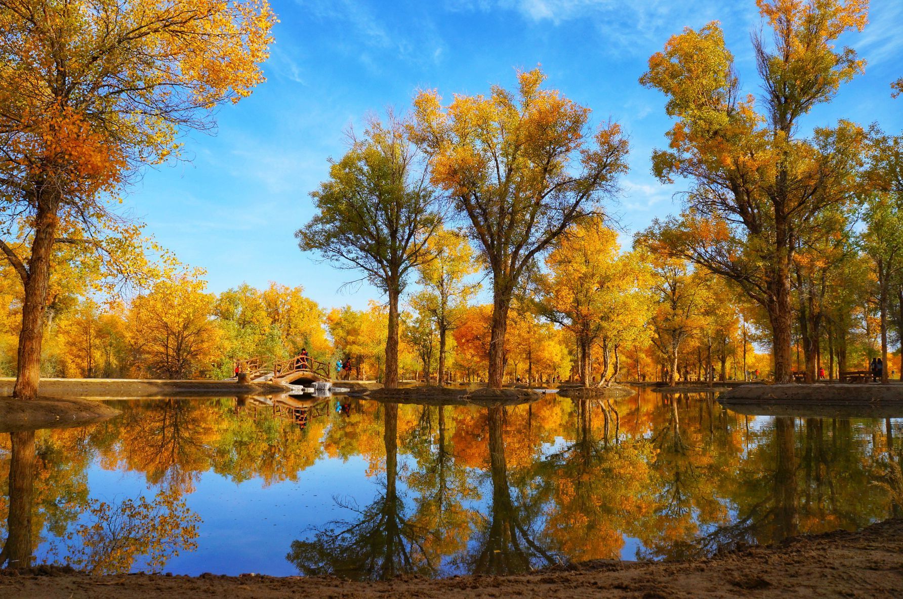 甘肃酒泉有什么特色美食 (甘肃酒泉有什么好玩的地方)