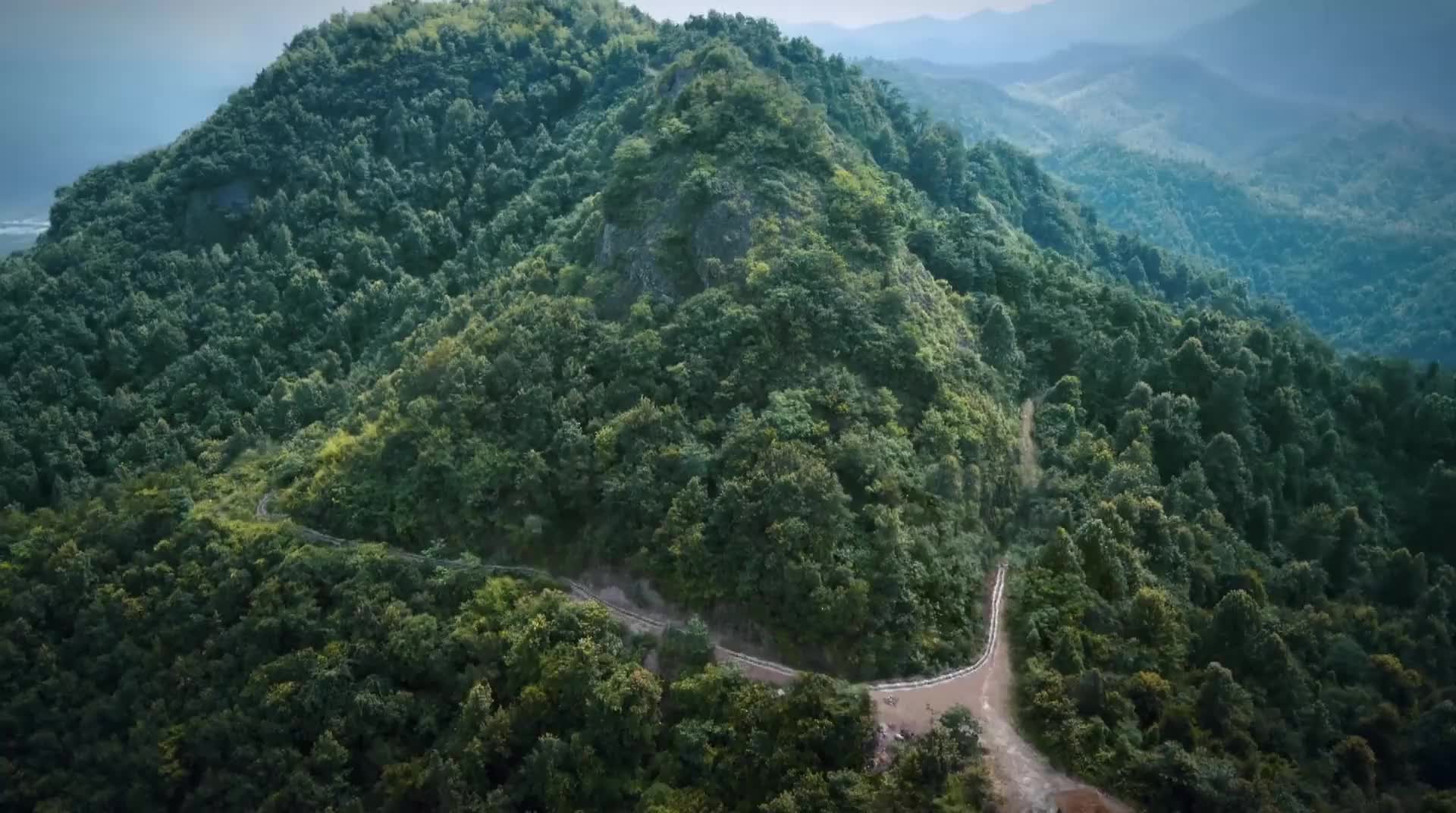 高山清渠:草王坝通水失败,大发把气撒孩子身上,要为家乡做贡献