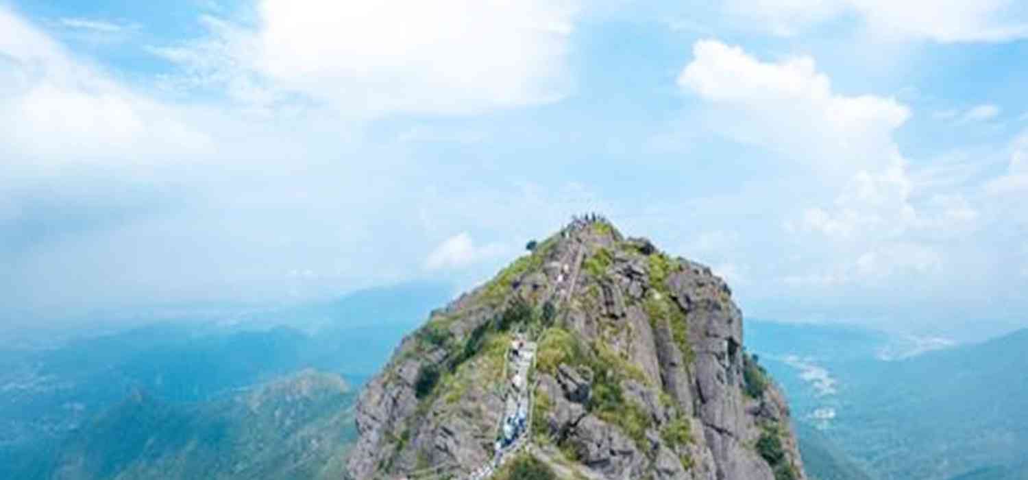 谢岗seo优化推广价格