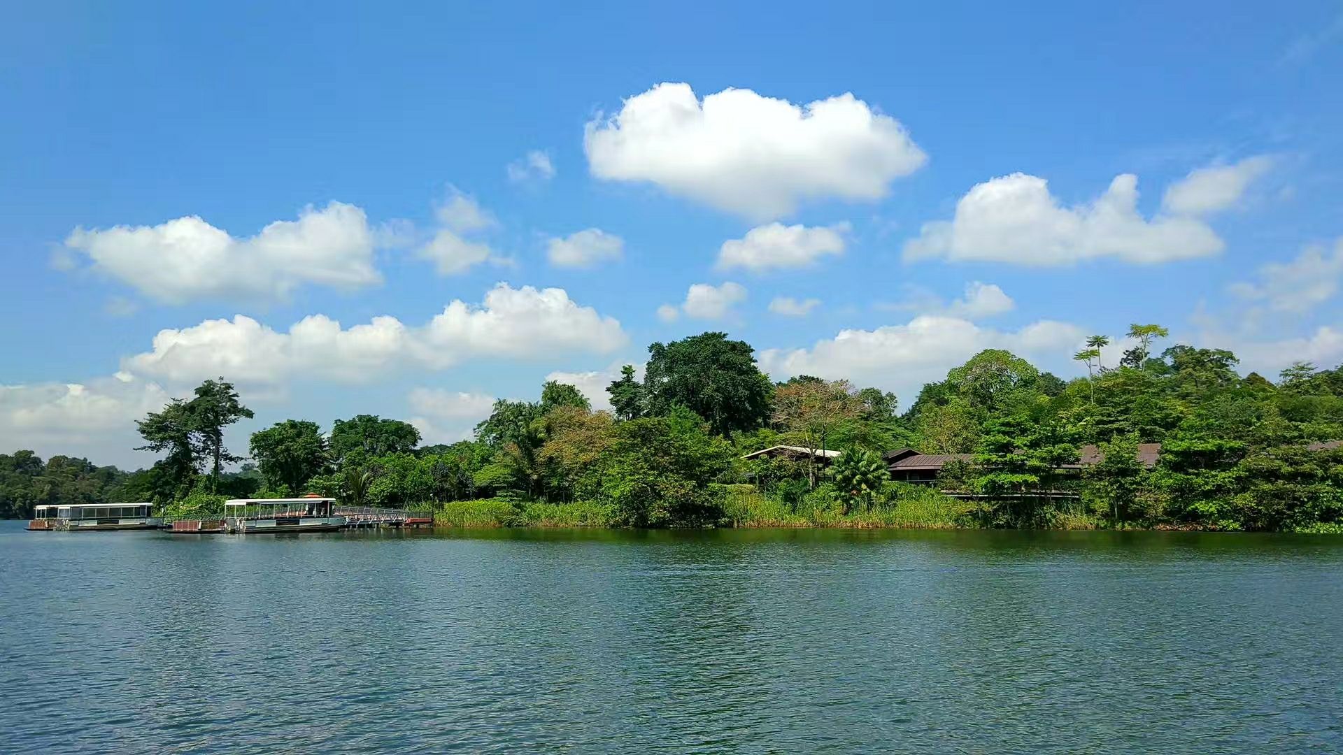 新加坡 河川生态园_高清图集_新浪网