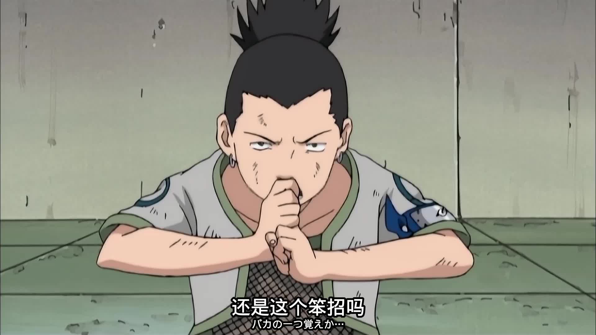 中忍考试鹿丸vs金