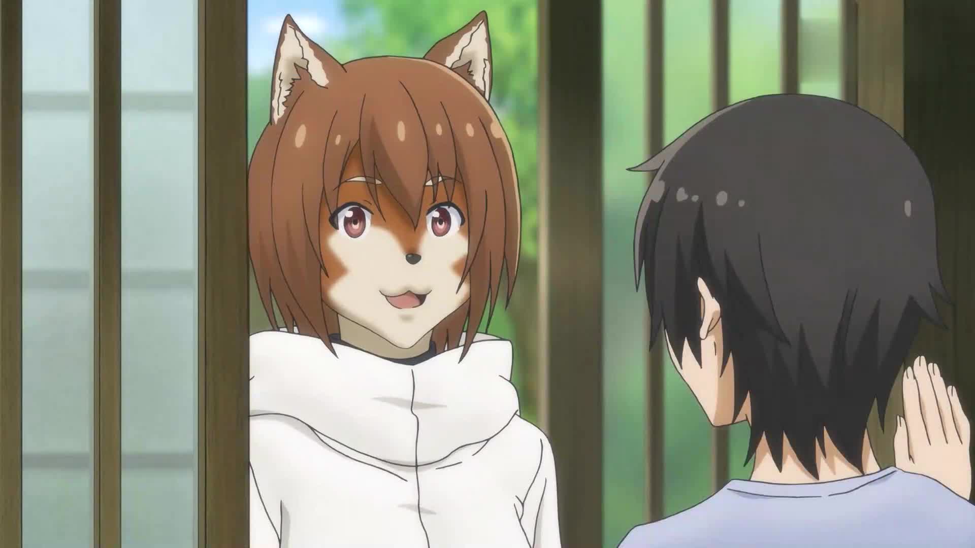 飞翔的魔女:犬养小姐带老鼠做客,猫咪竟然摸头,天敌变好了