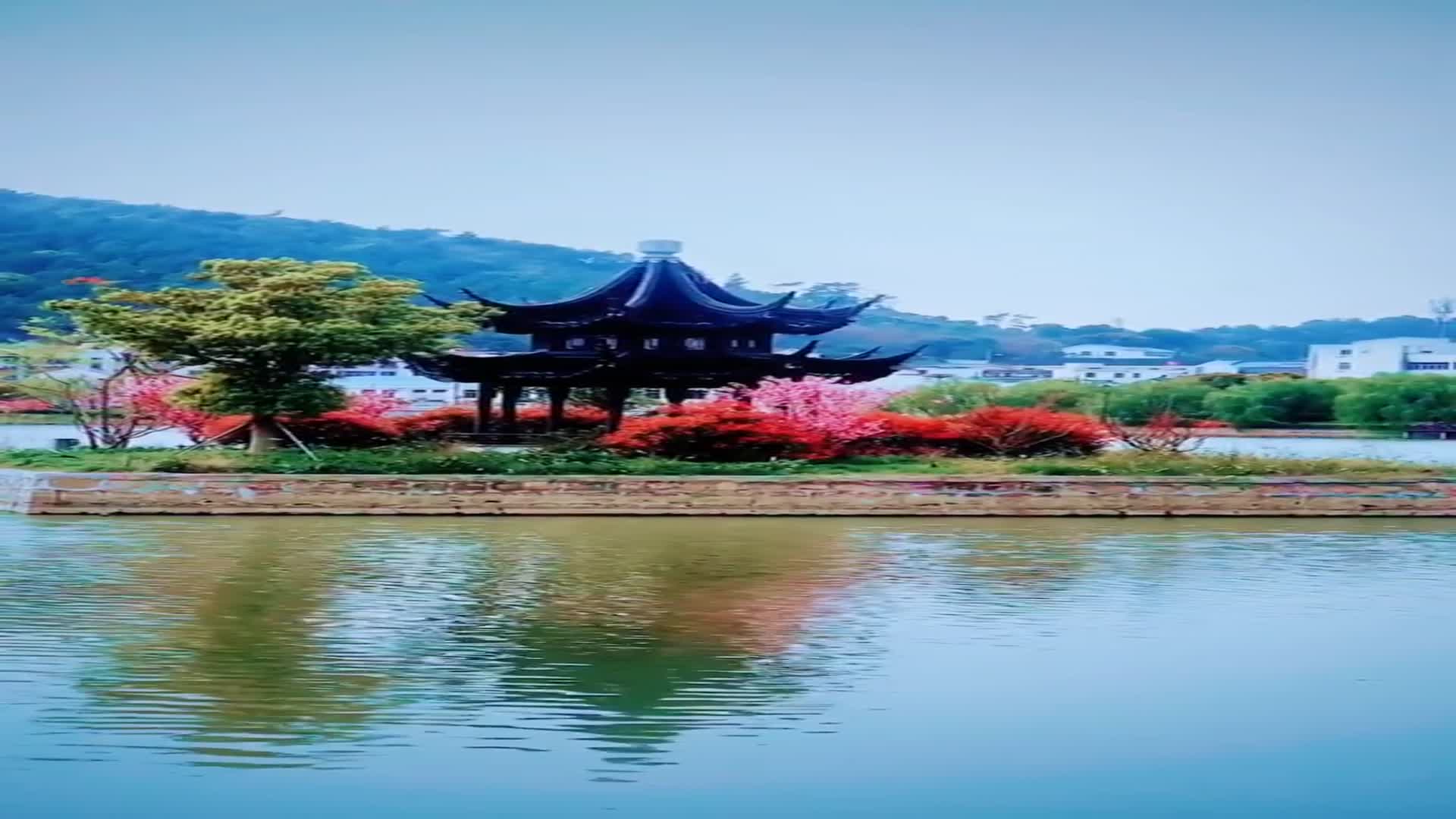 闲梦江南梅熟日,半壕春水一城花,烟雨暗千家