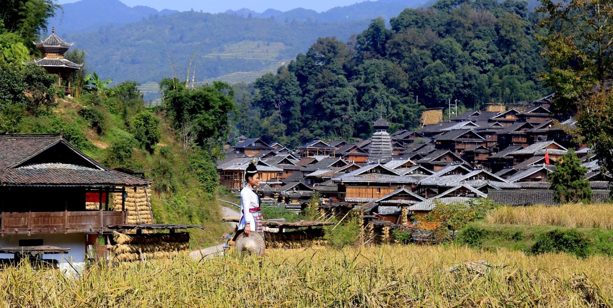 人们走进从江,走进占里侗寨,为那秋天的金色所折服