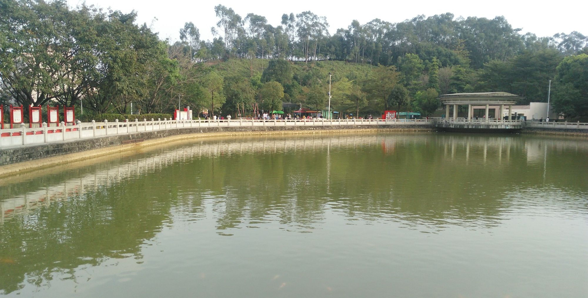 东莞塘厦崖山公园的实拍,你们来过这里吗?