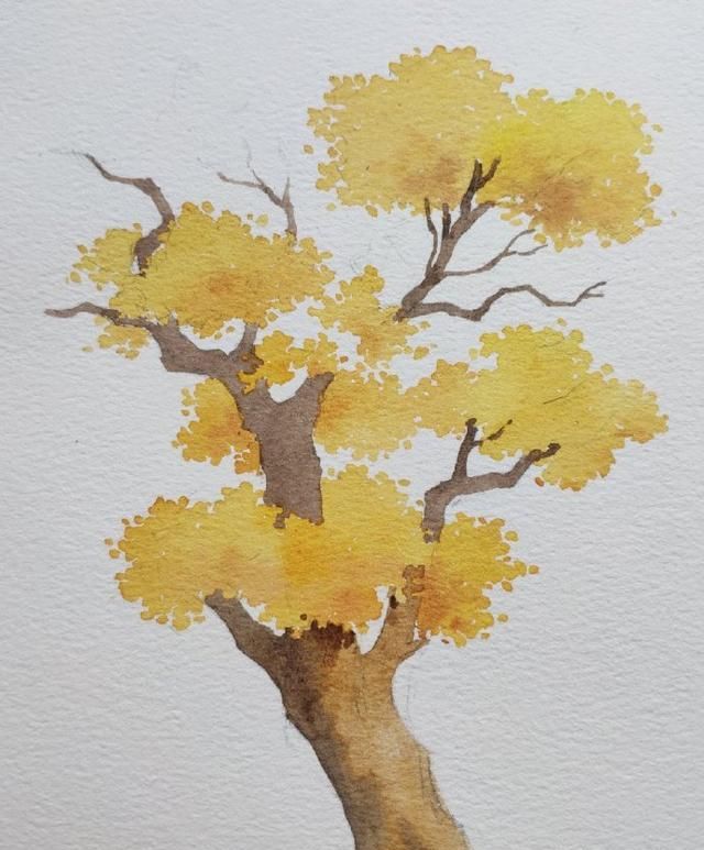 胡杨木水彩绘画过程图作者 Aivana 木香子