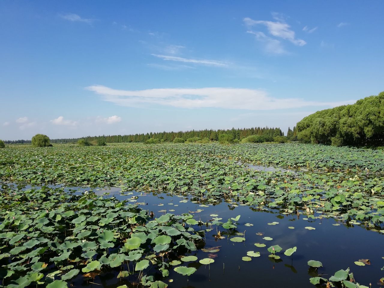 湖北省 荆州 洪湖市 洪湖生态旅游风景区_高清图集_新浪网