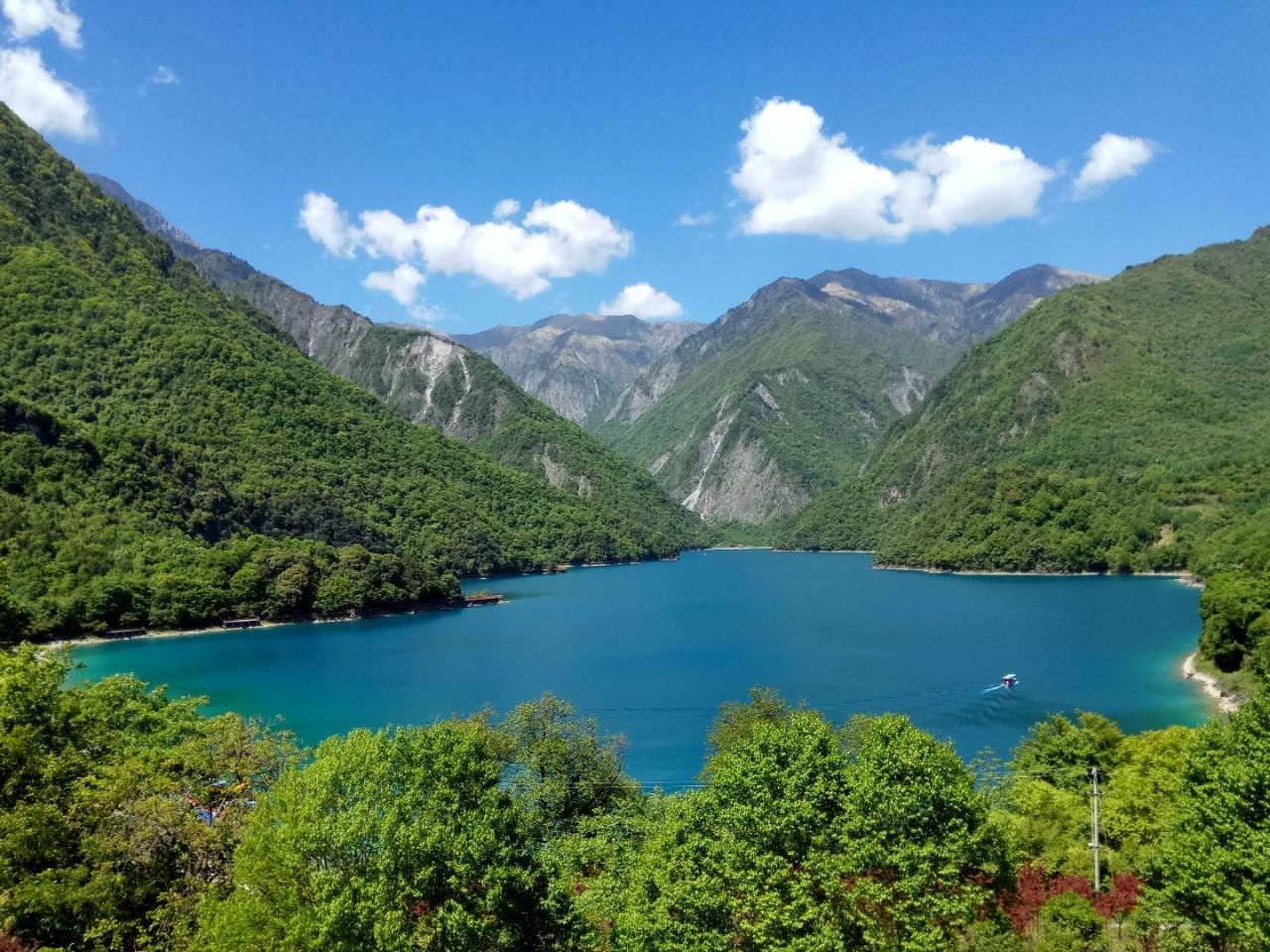 甘肃省 陇南市 文县 天池国家森林公园_高清图集_新浪网