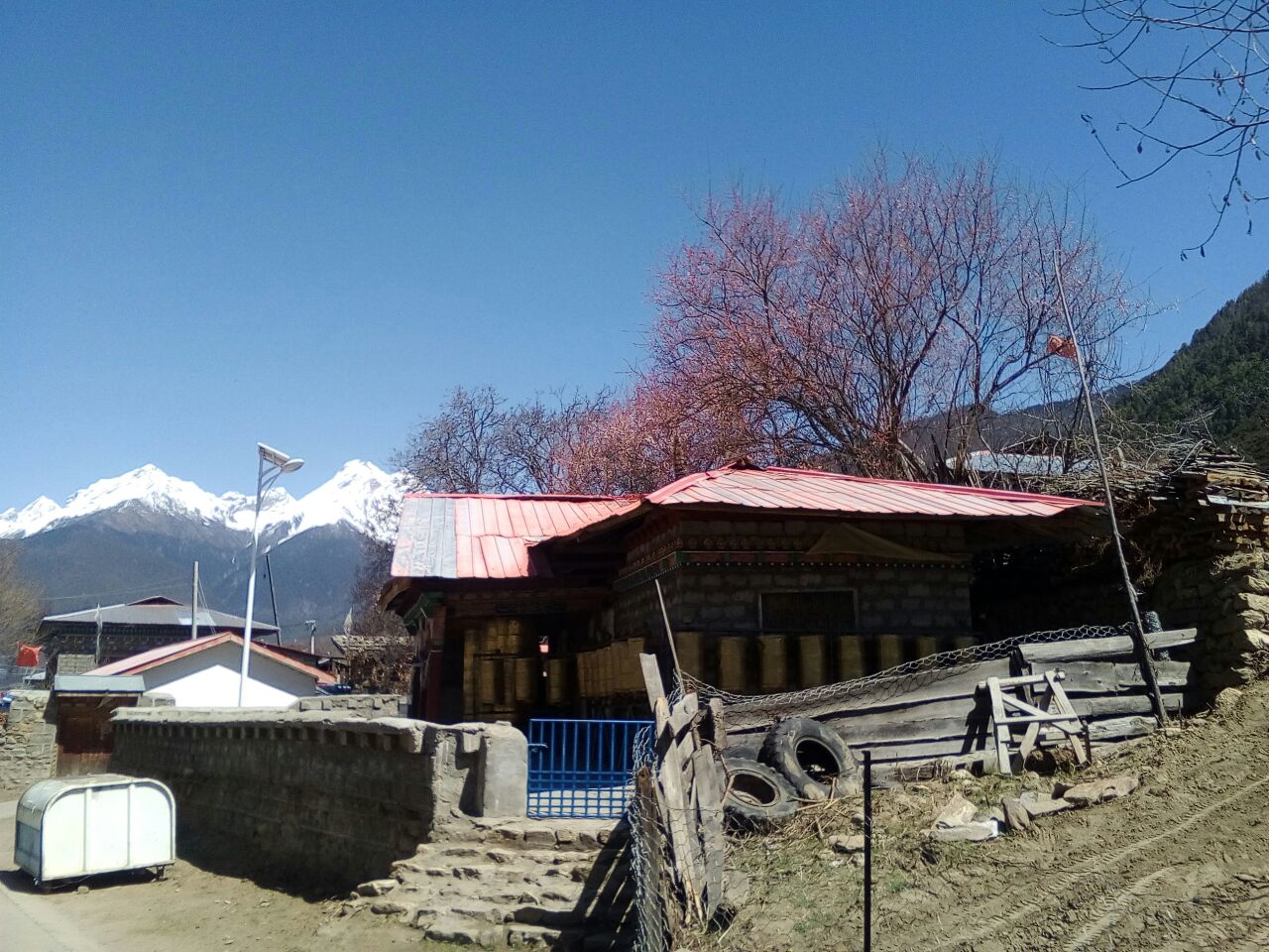 西藏自治区 林芝市 派镇