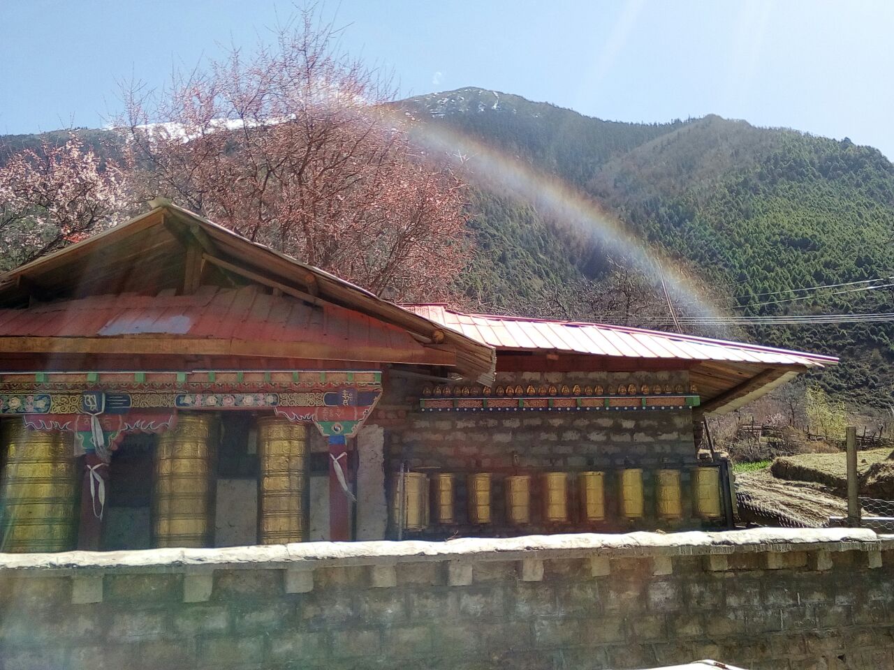 西藏自治区 林芝市 派镇__财经头条