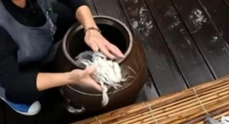 媳妇不听劝把10斤梭子蟹扔缸里,不加水加醋,5天后取出我吃嗨了休闲区蓝鸢梦想 - Www.slyday.coM 媳妇不听劝把10斤梭子蟹扔缸里,不加水加醋,5天后取出我吃嗨了休闲区蓝鸢梦想 - Www.slyday.coM