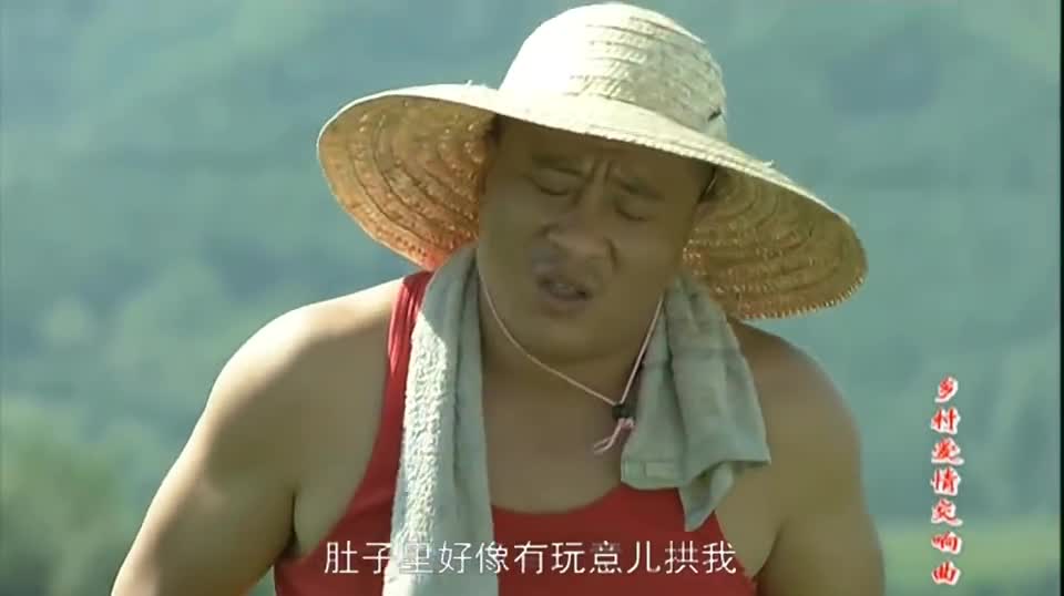 赵四在田里干活,突然感觉肚子疼,原来是羊腰子吃多了