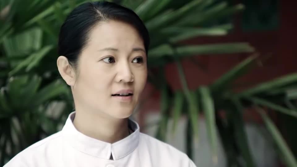 情满四合院:娄晓娥太霸气了,可惜刘岚是傻柱的人