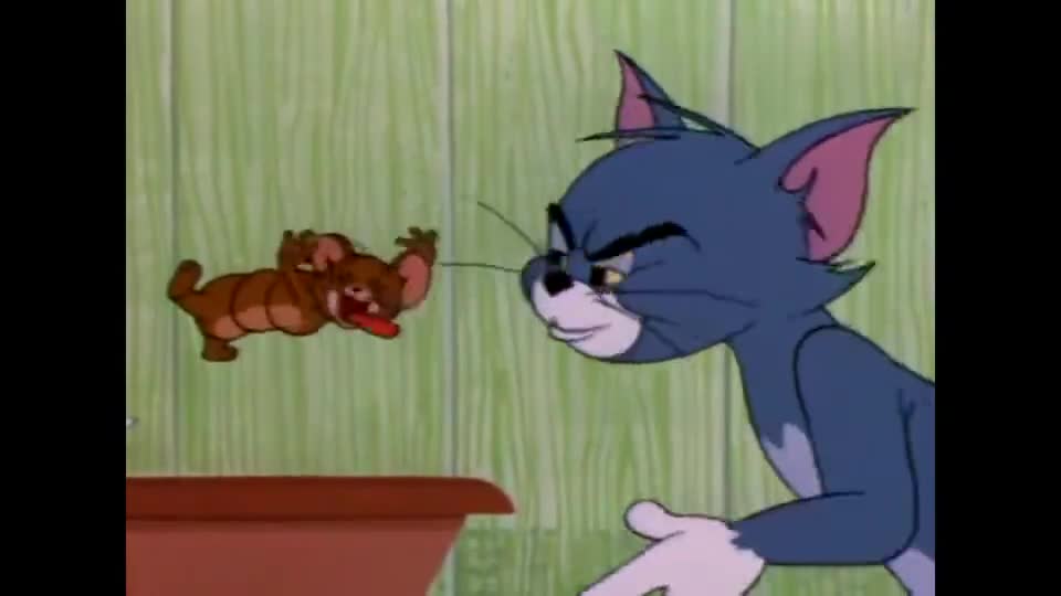 猫和老鼠:杰瑞吃的肚皮很鼓,还给汤姆鬼脸,汤姆非常不高兴