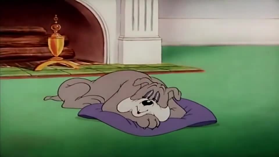猫和老鼠:大狗真惨,他就是睡个觉,还被吵得不得安宁!