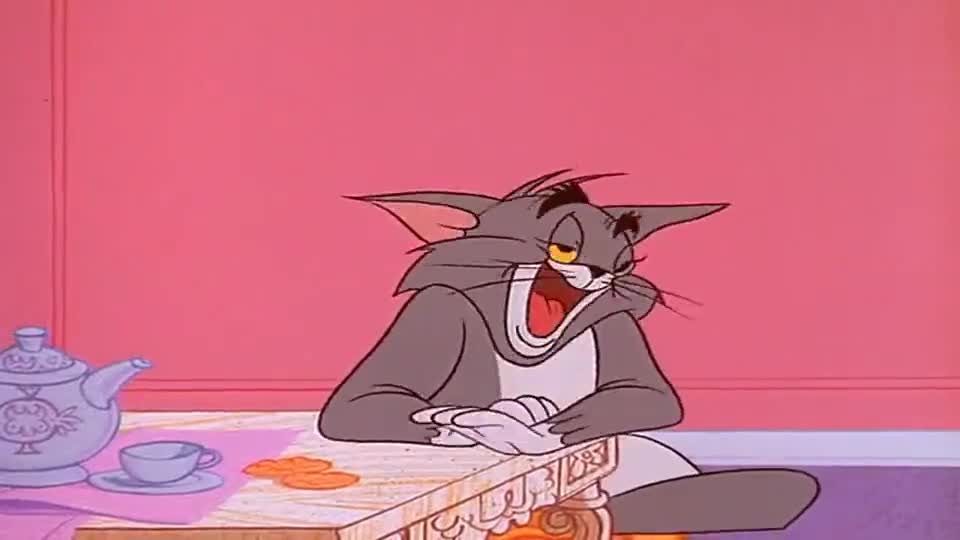 猫和老鼠:汤姆太倒霉了,杰瑞总是陷害它,汤姆还总是上当!
