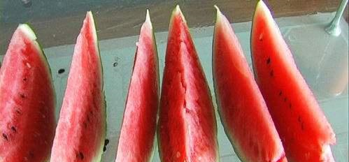 同样是吃西瓜，印度人这样切西瓜，比中国人还豪爽，网友：佩服！休闲区蓝鸢梦想 - Www.slyday.coM