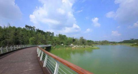 探访鹿溪智谷公园社区人与自然和谐共生