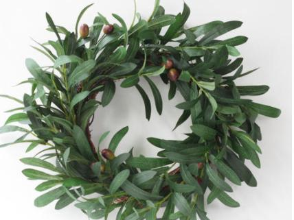 话说橄榄:西方人的圣物,中国人的生活|希腊|橄榄|橄榄枝_新浪新闻