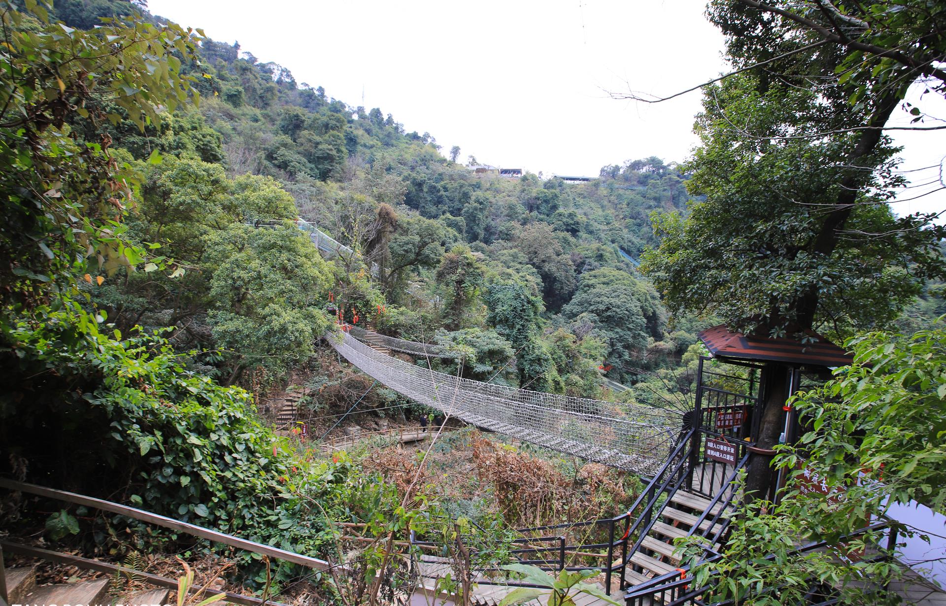 广东春节爬山好去处,南丹山森林公园,华南地区唯一的原始森林