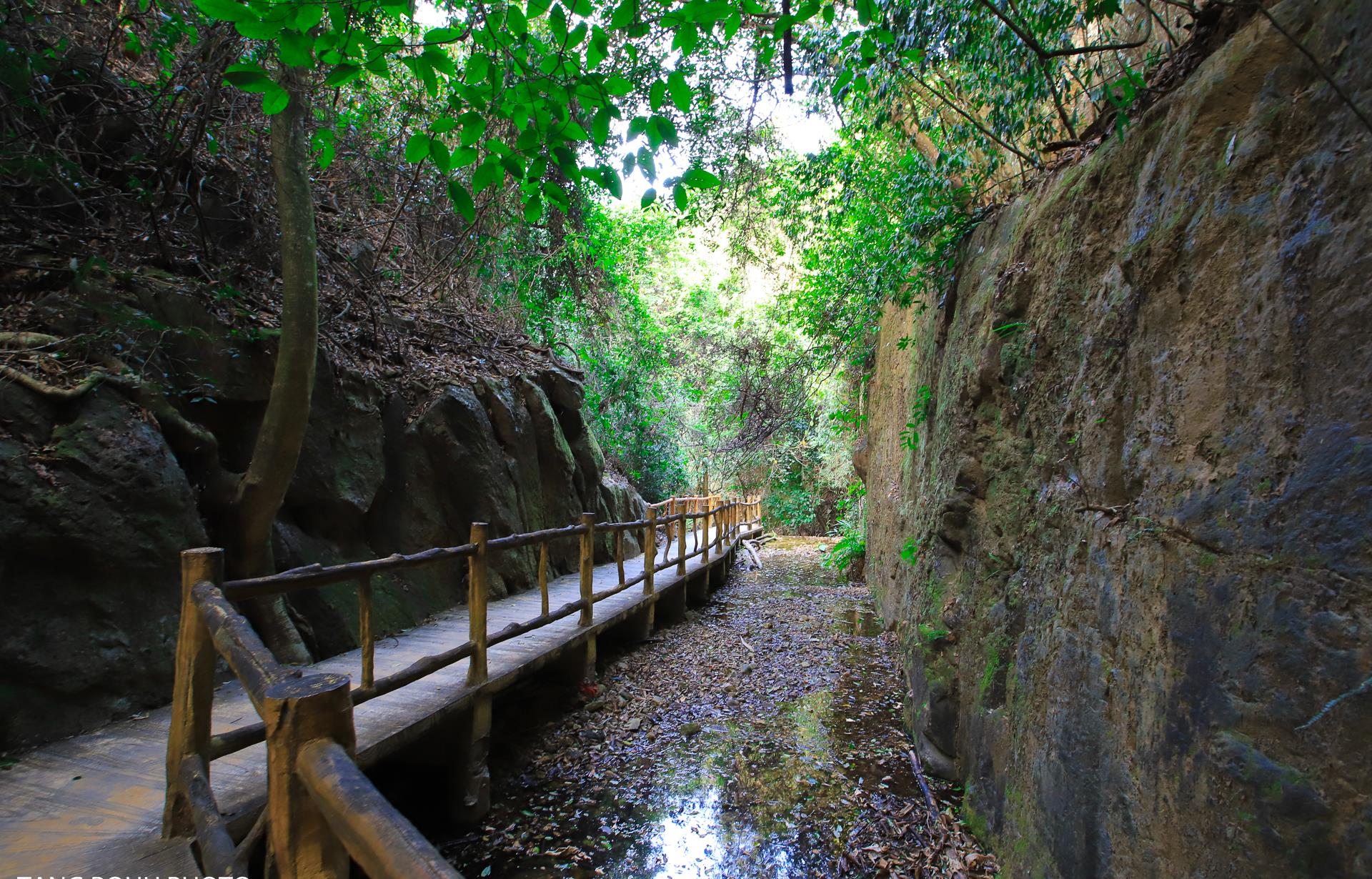 广东春节爬山好去处,南丹山森林公园,华南地区唯一的原始森林