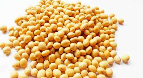 豆制品对尿酸影响大?痛风患者真的不能吃豆腐?休闲区蓝鸢梦想 - Www.slyday.coM 豆制品对尿酸影响大?痛风患者真的不能吃豆腐?休闲区蓝鸢梦想 - Www.slyday.coM