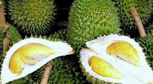 买榴莲时，要学会挑“母”的，挑出来皮薄肉又厚，老板说你是内行休闲区蓝鸢梦想 - Www.slyday.coM