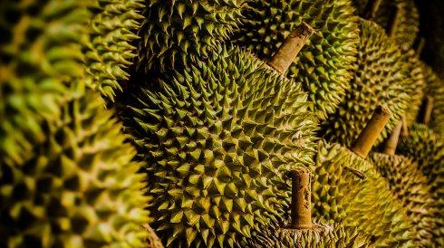 买榴莲时，要学会挑“母”的，挑出来皮薄肉又厚，老板说你是内行休闲区蓝鸢梦想 - Www.slyday.coM