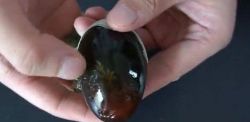 无铅“松花皮蛋”是如何秘制的?配方和做法教你,烧粥凉拌都不错休闲区蓝鸢梦想 - Www.slyday.coM 无铅“松花皮蛋”是如何秘制的?配方和做法教你,烧粥凉拌都不错休闲区蓝鸢梦想 - Www.slyday.coM