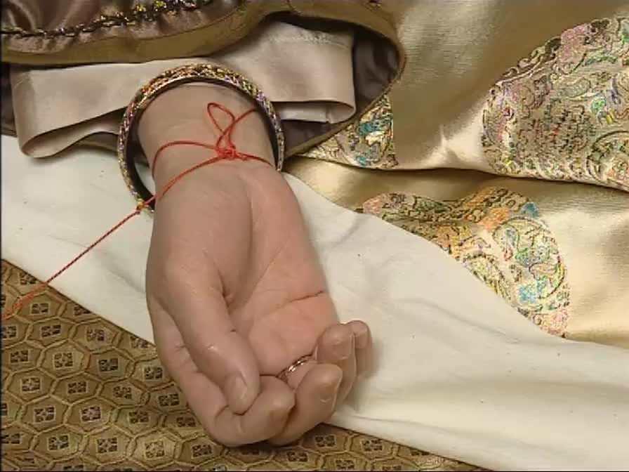 布衣天子皇宫里把脉都是线脉洪立不开心了自己只会把人脉