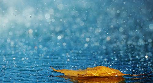 史上最精绝的一首写雨词，细腻如针尖弄墨，读完有雨点轻打脸颊！|浣溪沙|精绝|针尖_新浪新闻