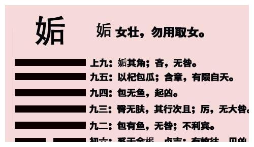 易经姤卦天地相遇品物咸章也刚遇中正天下大行也