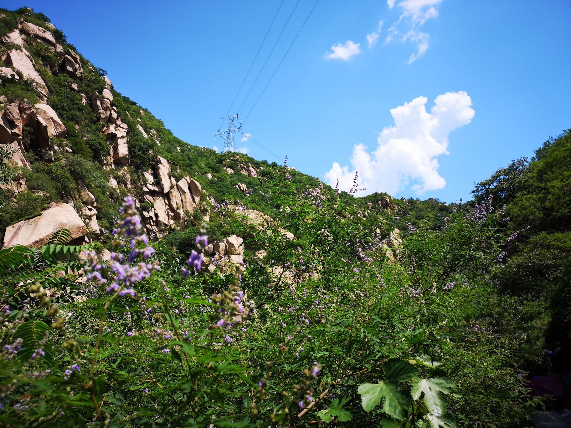 游览 北京市 昌平区 碓臼峪