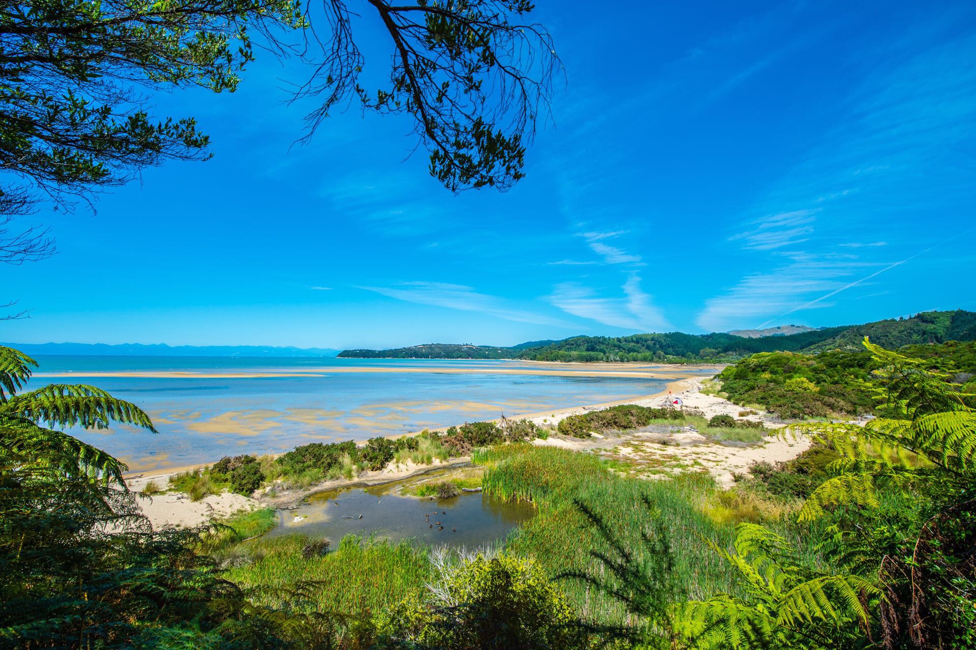 新西兰 尼尔森 阿贝尔·塔斯曼国家公园