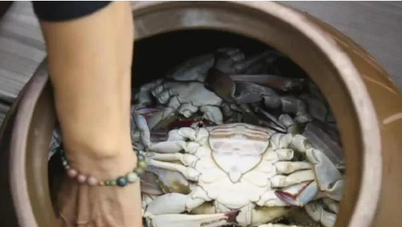 媳妇不听劝把10斤梭子蟹扔缸里,不加水加醋,5天后取出我吃嗨了休闲区蓝鸢梦想 - Www.slyday.coM 媳妇不听劝把10斤梭子蟹扔缸里,不加水加醋,5天后取出我吃嗨了休闲区蓝鸢梦想 - Www.slyday.coM