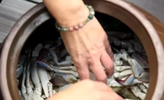 媳妇不听劝把10斤梭子蟹扔缸里,不加水加醋,5天后取出我吃嗨了休闲区蓝鸢梦想 - Www.slyday.coM 媳妇不听劝把10斤梭子蟹扔缸里,不加水加醋,5天后取出我吃嗨了休闲区蓝鸢梦想 - Www.slyday.coM