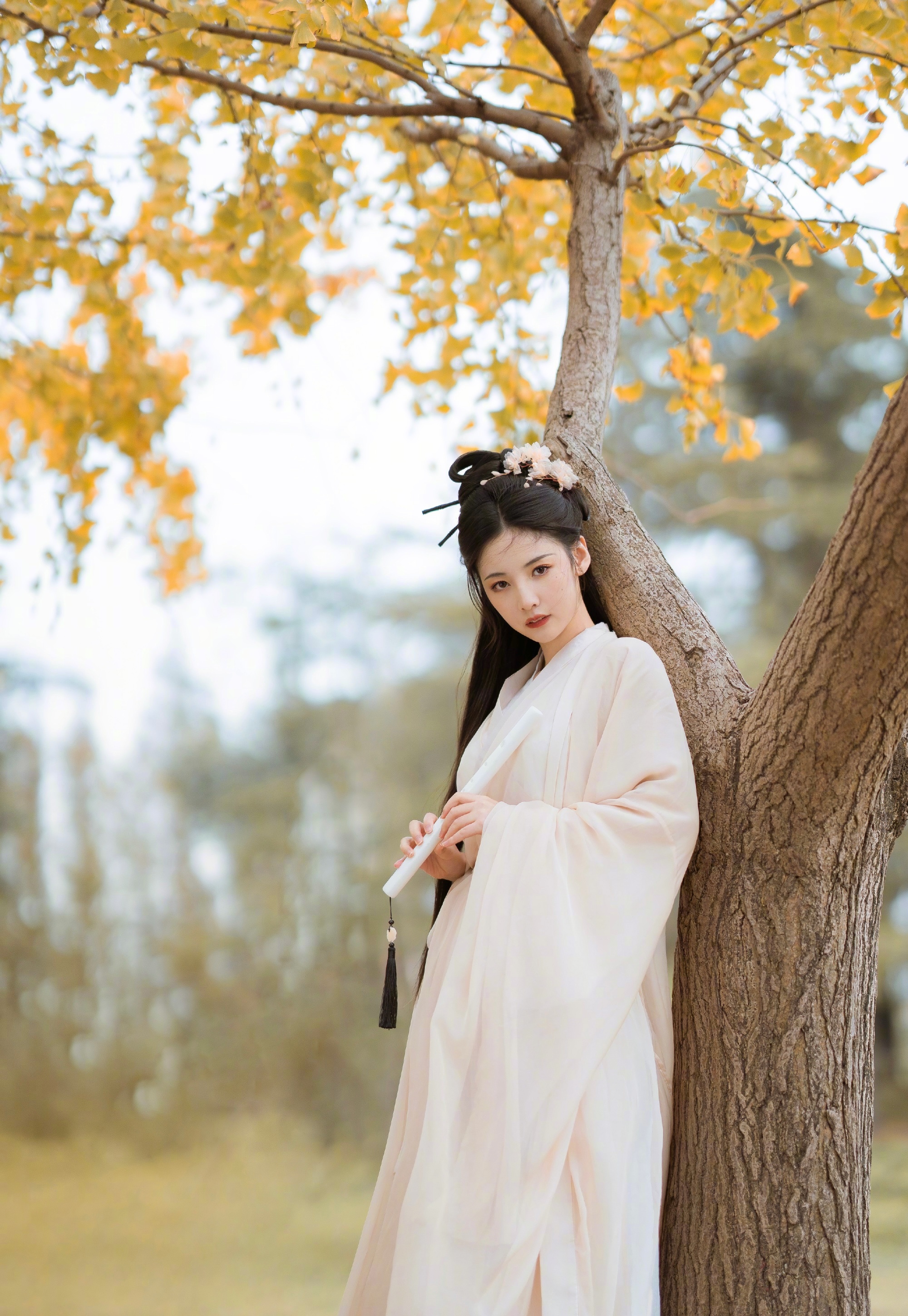 赵粤秋日银杏古风大片清冷系古风美人展现柔美气质