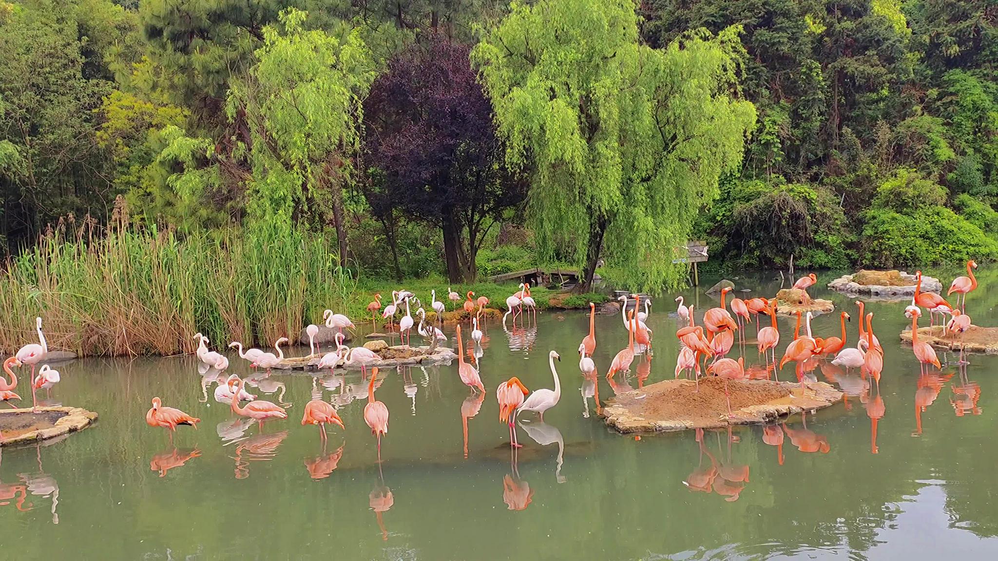 春日游雅戈尔动物园