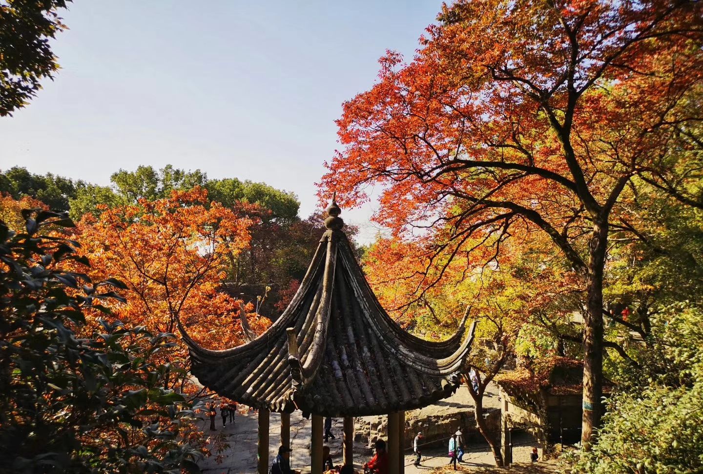 苏州虎丘公园的秋季